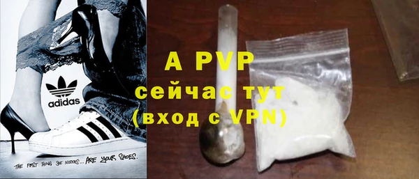 прущие грибы Беломорск