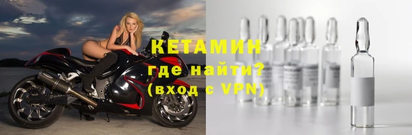 прущие грибы Беломорск