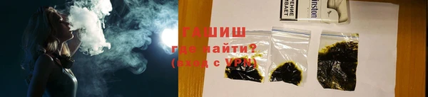 прущие грибы Беломорск