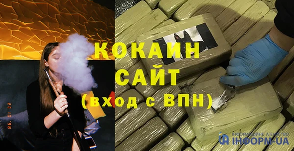 прущие грибы Беломорск