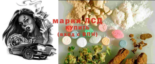 прущие грибы Беломорск