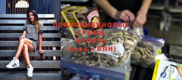прущие грибы Беломорск