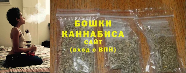 прущие грибы Беломорск