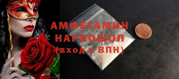 ECSTASY Богданович