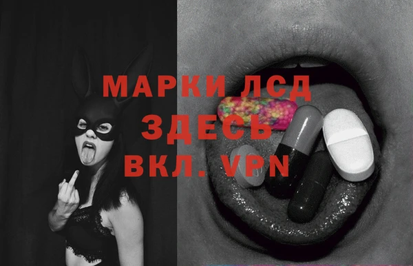 гидропоника Белокуриха